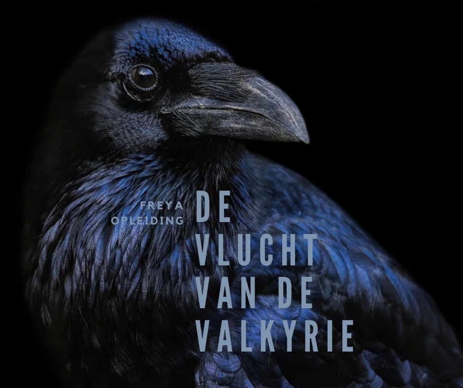 Gratis Proefles - De Vlucht an de Valkyrie