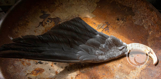 Smudge veer - Ganzen Vleugel met zwijn Handvat