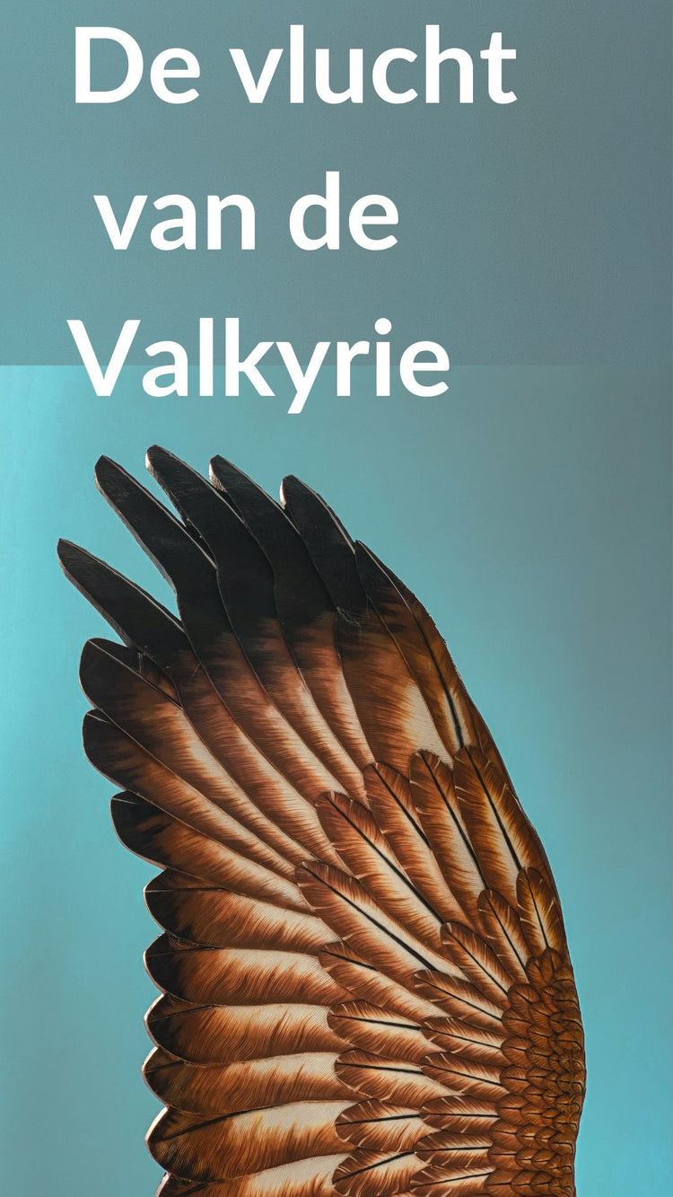 De Vlucht van de Valkyrie