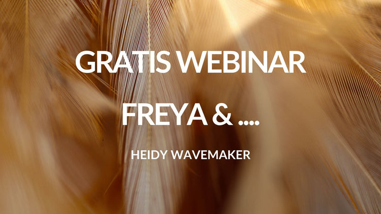 Webinar