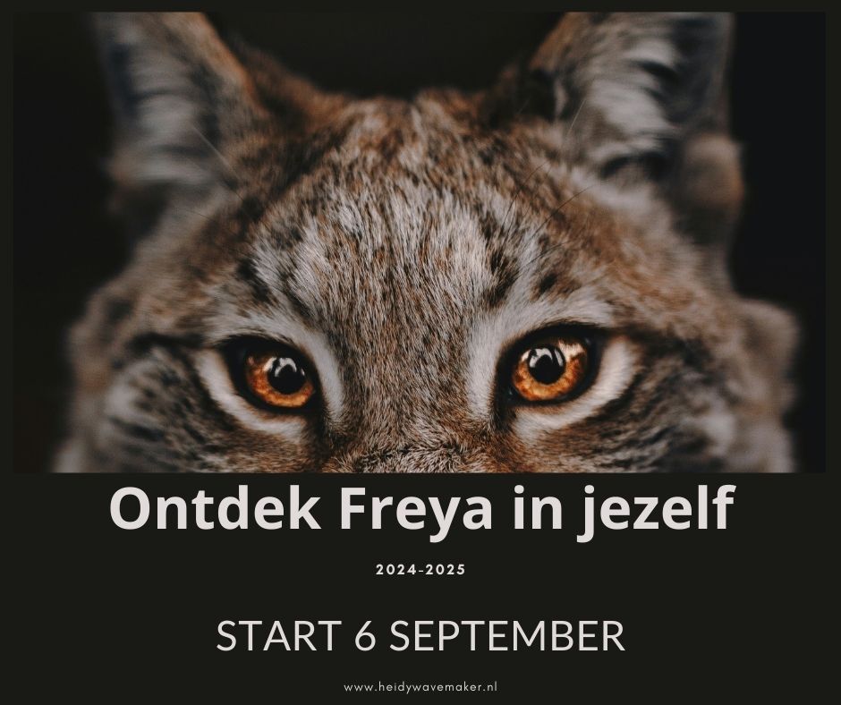 Ontdek Freya in jezelf 2024-2025