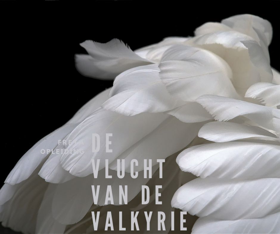 De Vlucht van de Valkyrie – Freya leerjaar 2 Jaaropleiding 2027