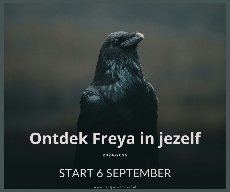 Ontdek Freya in jezelf 2024-2025