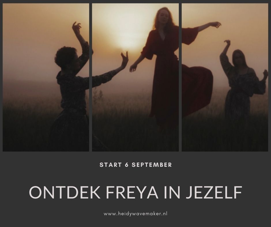 Ontdek Freya in jezelf 2024-2025