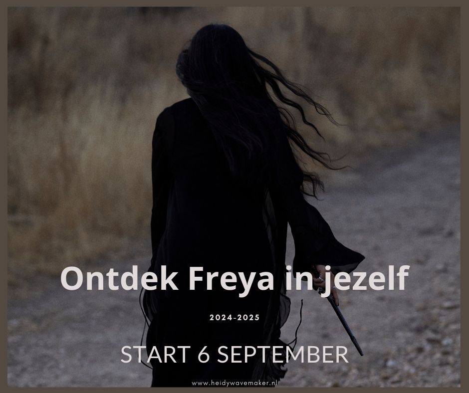 Ontdek Freya in jezelf 2024-2025