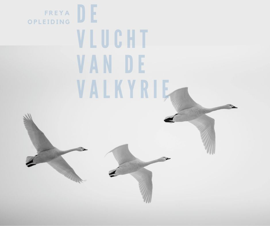 De Vlucht van de Valkyrie – Freya leerjaar 2 Jaaropleiding 2027