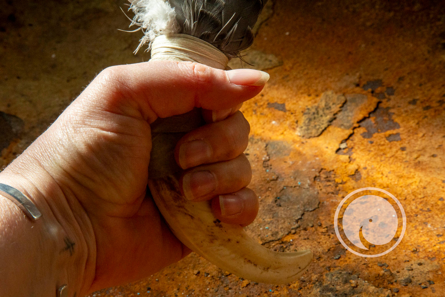 Smudge veer - Ganzen Vleugel met zwijn Handvat