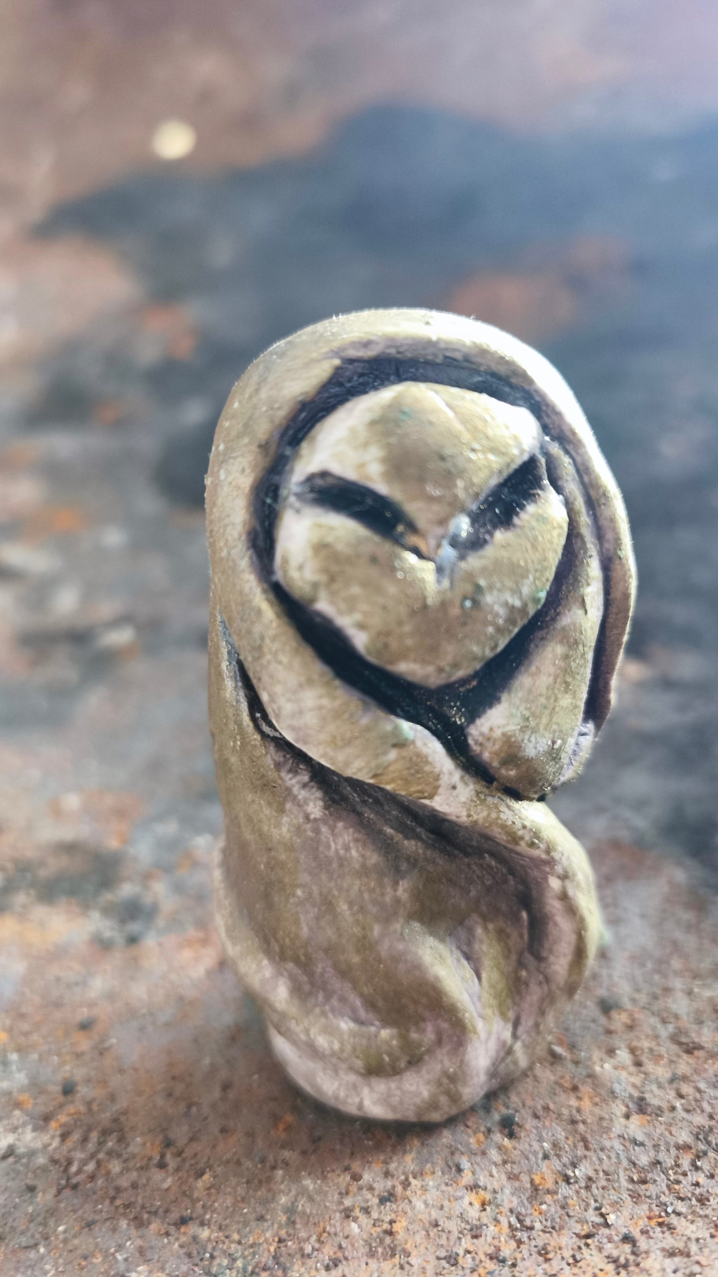 Gullveig – Hoedster van het Vuur