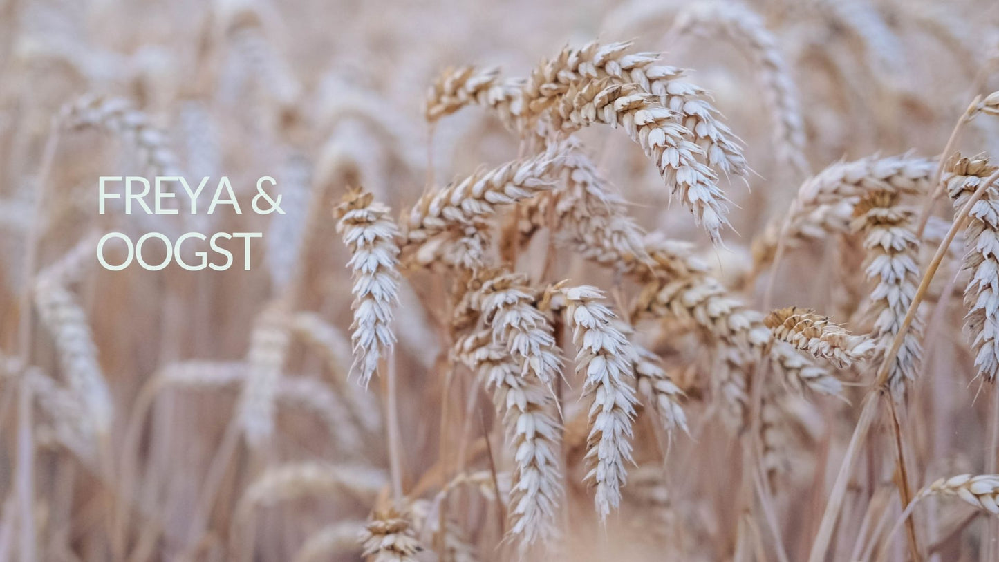 Gratis Webinar - Freya en ...