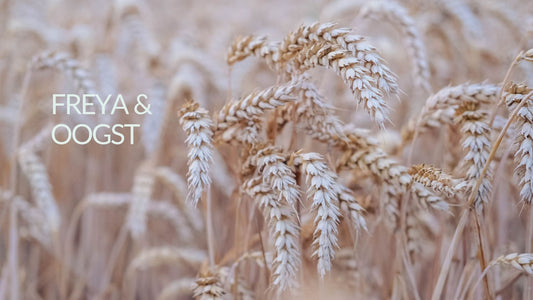 Gratis Webinar - Freya en Oogst 11 augustus 2026