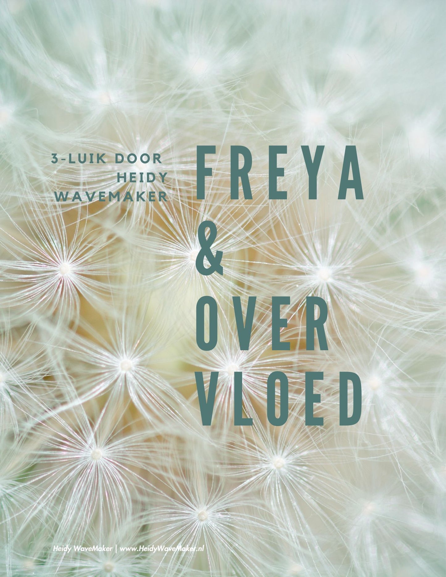 E-book Freya en Overvloed