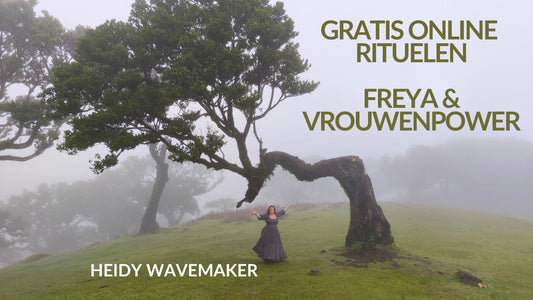 Gratis Webinar - Freya en Vrouw-en-Power 26 oktober 2026